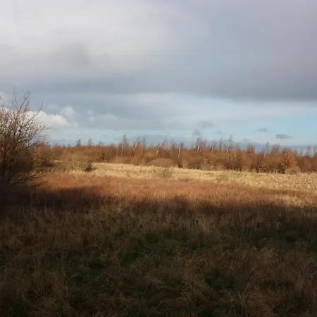 Couette-café Holmehuset 3*