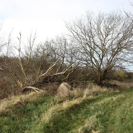 Holmehuset Couette-café 3*