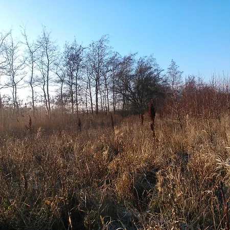 Couette-café Holmehuset Kalundborg